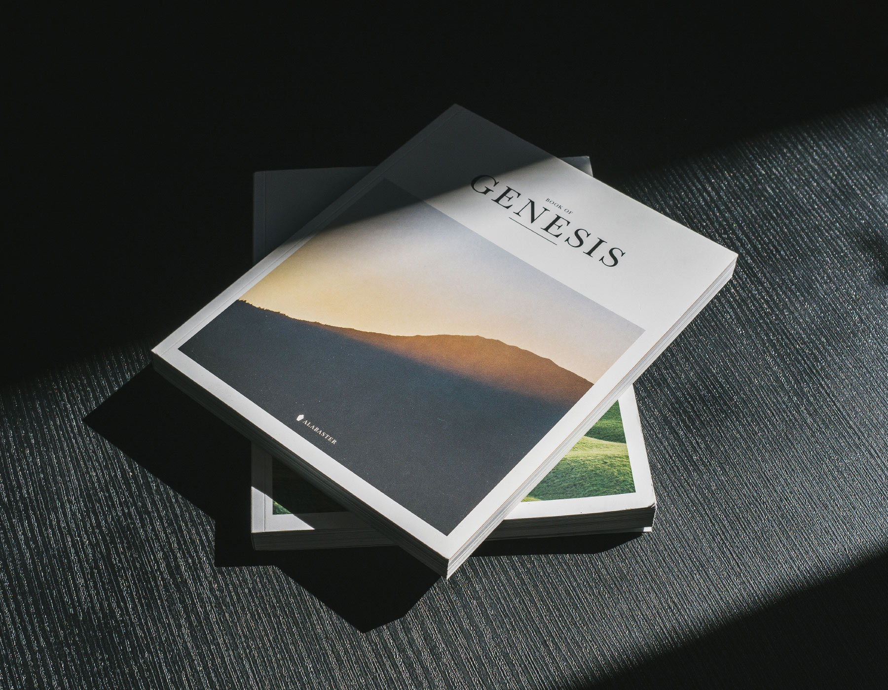 Book Cover Design 3 im-main-1166